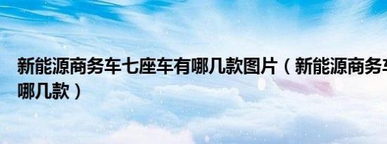 新能源商务车七座车有哪几款图片（新能源商务车七座车有哪几款）