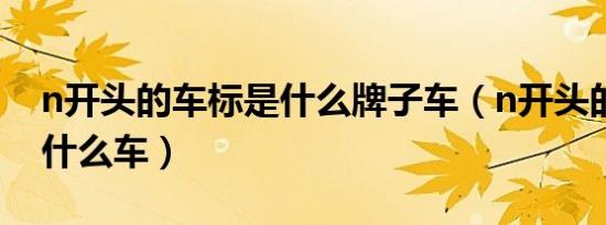n开头的车标是什么牌子车（n开头的车标是什么车）
