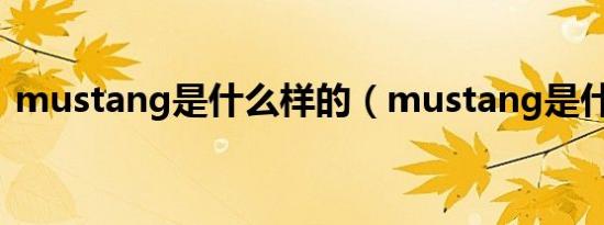 mustang是什么样的（mustang是什么车）