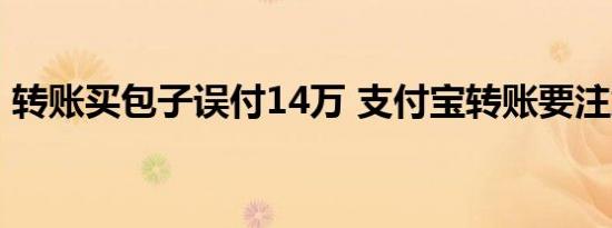 转账买包子误付14万 支付宝转账要注意什么