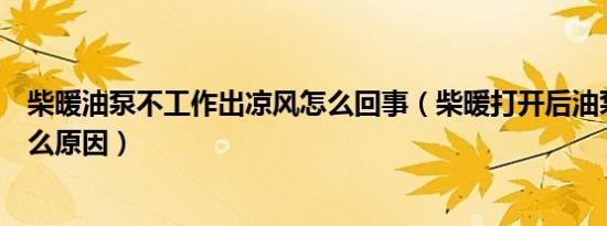 柴暖油泵不工作出凉风怎么回事（柴暖打开后油泵不响是什么原因）