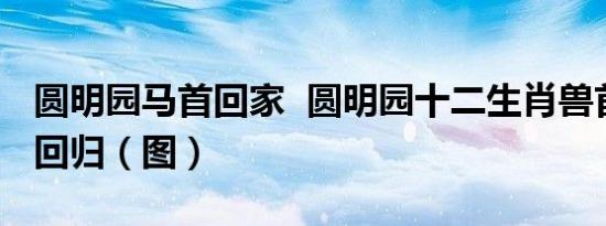 圆明园马首回家 圆明园十二生肖兽首—马首回归（图）
