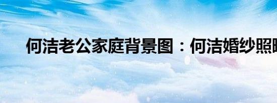 何洁老公家庭背景图：何洁婚纱照曝光