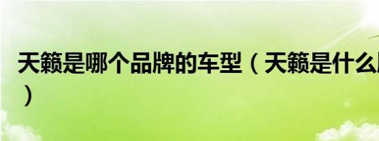 天籁是哪个品牌的车型（天籁是什么牌子的车）
