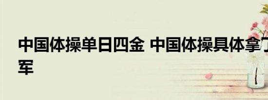 中国体操单日四金 中国体操具体拿了哪些冠军