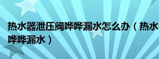 热水器泄压阀哗哗漏水怎么办（热水器泄压阀哗哗漏水）