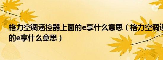 格力空调遥控器上面的e享什么意思（格力空调遥控器上面的e享什么意思）