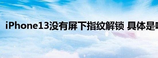 iPhone13没有屏下指纹解锁 具体是啥情况