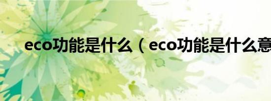 eco功能是什么（eco功能是什么意思）