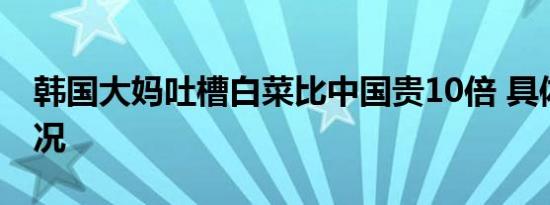 韩国大妈吐槽白菜比中国贵10倍 具体是啥情况