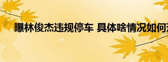 曝林俊杰违规停车 具体啥情况如何违规