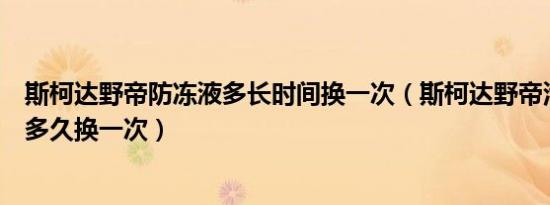 斯柯达野帝防冻液多长时间换一次（斯柯达野帝汽车防冻液多久换一次）