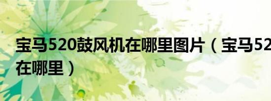 宝马520鼓风机在哪里图片（宝马520鼓风机在哪里）