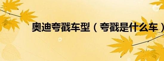 奥迪夸戳车型（夸戳是什么车）