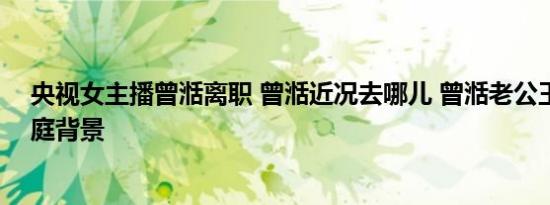 央视女主播曾湉离职 曾湉近况去哪儿 曾湉老公王凯资料家庭背景