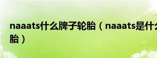naaats什么牌子轮胎（naaats是什么品牌轮胎）