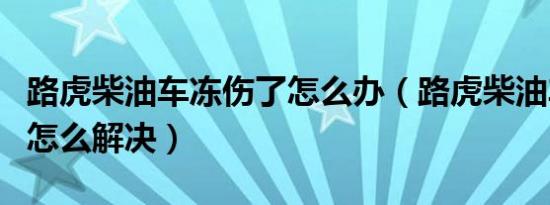 路虎柴油车冻伤了怎么办（路虎柴油车冻住了怎么解决）