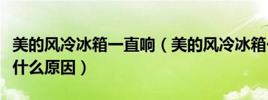 美的风冷冰箱一直响（美的风冷冰箱一直响是什么原因）