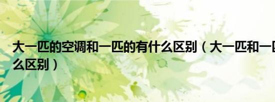 大一匹的空调和一匹的有什么区别（大一匹和一匹空调有什么区别）