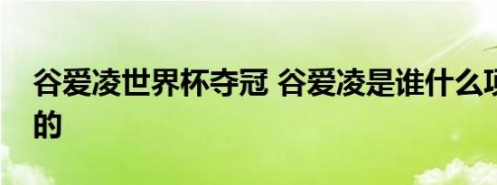 谷爱凌世界杯夺冠 谷爱凌是谁什么项目夺冠的