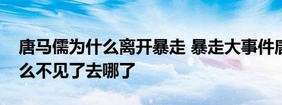 唐马儒为什么离开暴走 暴走大事件唐马儒怎么不见了去哪了