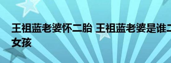 王祖蓝老婆怀二胎 王祖蓝老婆是谁二胎男孩女孩