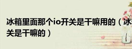 冰箱里面那个io开关是干嘛用的（冰箱有个开关是干嘛的）