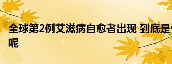 全球第2例艾滋病自愈者出现 到底是什么原理呢