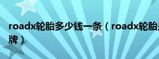 roadx轮胎多少钱一条（roadx轮胎是什么品牌）