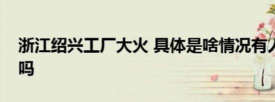 浙江绍兴工厂大火 具体是啥情况有人员伤亡吗