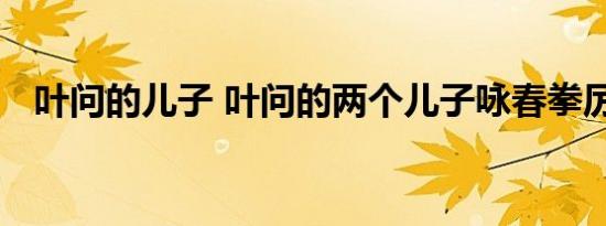 叶问的儿子 叶问的两个儿子咏春拳厉害吗