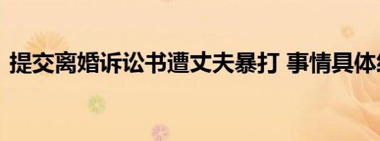 提交离婚诉讼书遭丈夫暴打 事情具体经过是