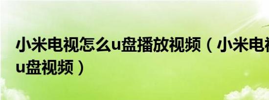 小米电视怎么u盘播放视频（小米电视怎么看u盘视频）