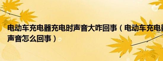 电动车充电器充电时声音大咋回事（电动车充电器充电时没声音怎么回事）