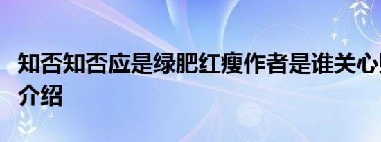 知否知否应是绿肥红瘦作者是谁关心则乱个人介绍