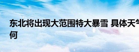 东北将出现大范围特大暴雪 具体天气情况如何