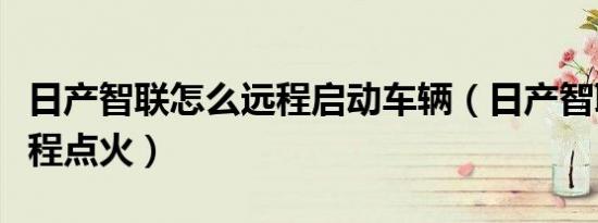 日产智联怎么远程启动车辆（日产智联怎么远程点火）