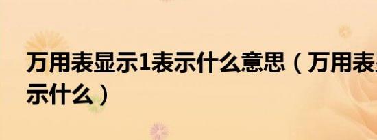 万用表显示1表示什么意思（万用表显示1表示什么）