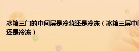 冰箱三门的中间层是冷藏还是冷冻（冰箱三层中间层是冷藏还是冷冻）