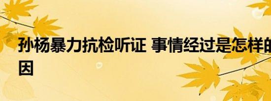 孙杨暴力抗检听证 事情经过是怎样的什么原因