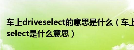 车上driveselect的意思是什么（车上的driveselect是什么意思）