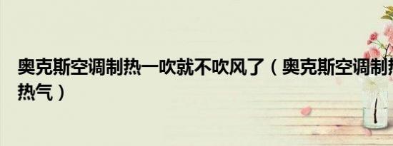 奥克斯空调制热一吹就不吹风了（奥克斯空调制热吹出来没热气）