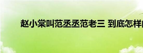 赵小棠叫范丞丞范老三 到底怎样的