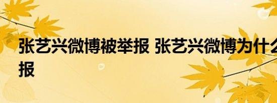 张艺兴微博被举报 张艺兴微博为什么会被举报