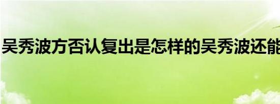 吴秀波方否认复出是怎样的吴秀波还能复出吗