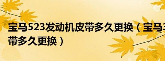 宝马523发动机皮带多久更换（宝马320i的皮带多久更换）