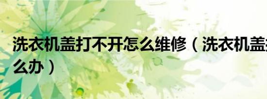 洗衣机盖打不开怎么维修（洗衣机盖打不开怎么办）