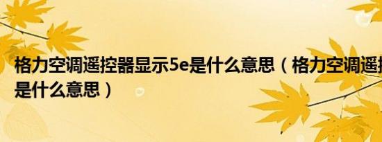 格力空调遥控器显示5e是什么意思（格力空调遥控器显示5E是什么意思）