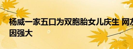 杨威一家五口为双胞胎女儿庆生 网友感叹基因强大