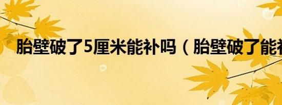 胎壁破了5厘米能补吗（胎壁破了能补吗）